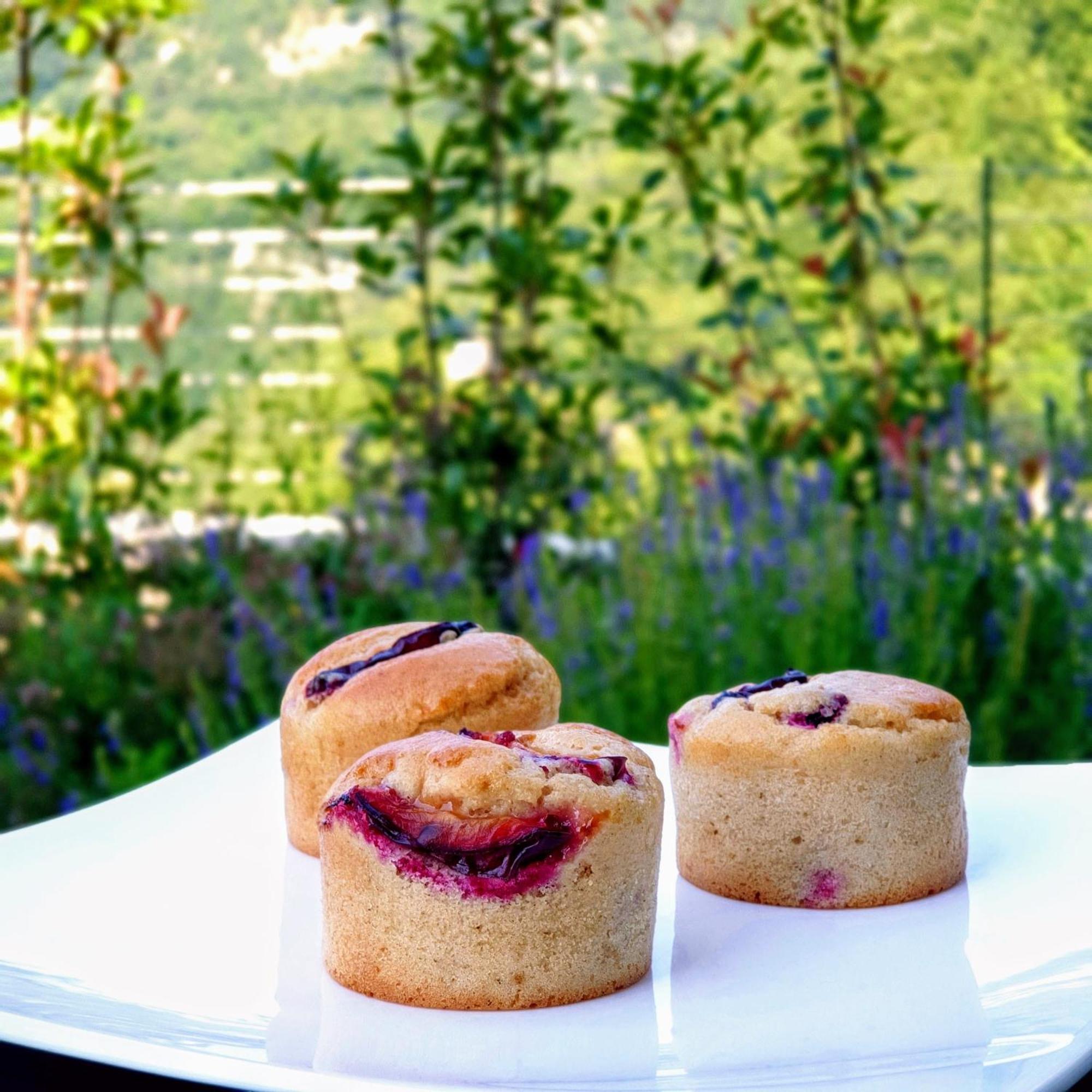 Arpa Di Pietra - Luxury B&B Spa Bio 모리 외부 사진